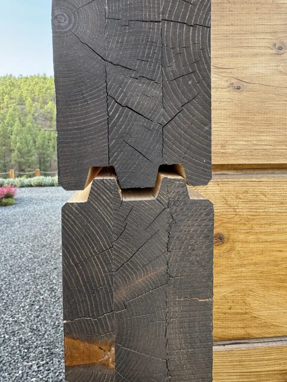 Dos extremos de madera agrietados con el perfil de encaje y la junta entre ambas piezas a la vista