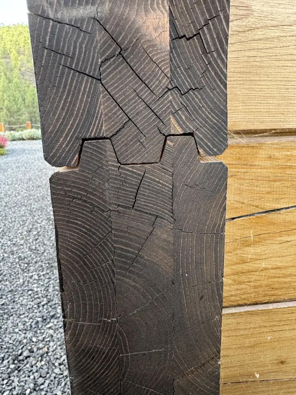 Primer plano de grietas que atraviesan los anillos visibles en las testas de dos piezas de madera